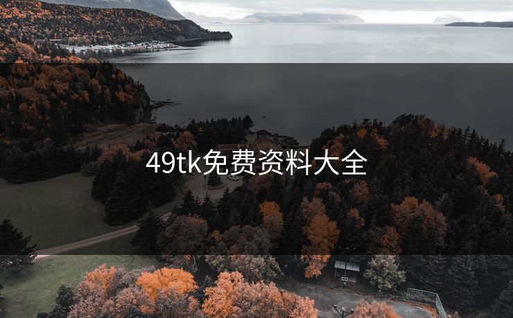 49tk免费资料大全