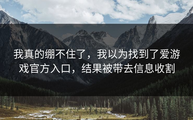 我真的绷不住了，我以为找到了爱游戏官方入口，结果被带去信息收割
