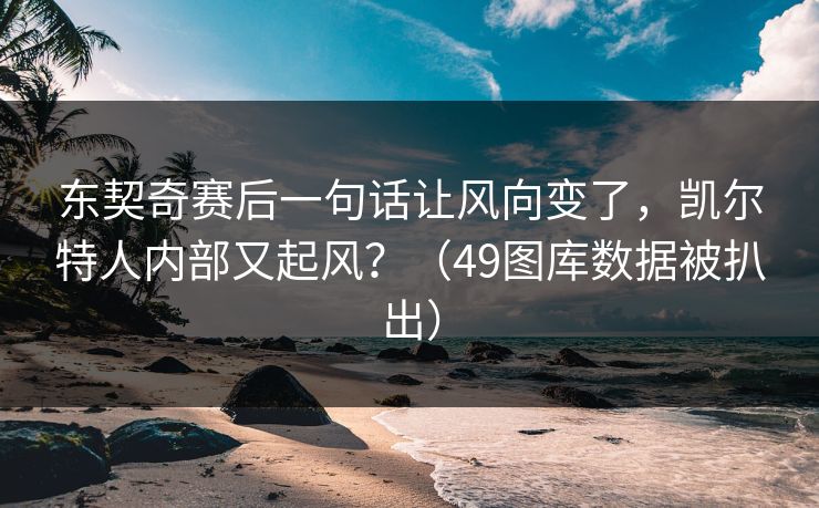 东契奇赛后一句话让风向变了，凯尔特人内部又起风？（49图库数据被扒出）