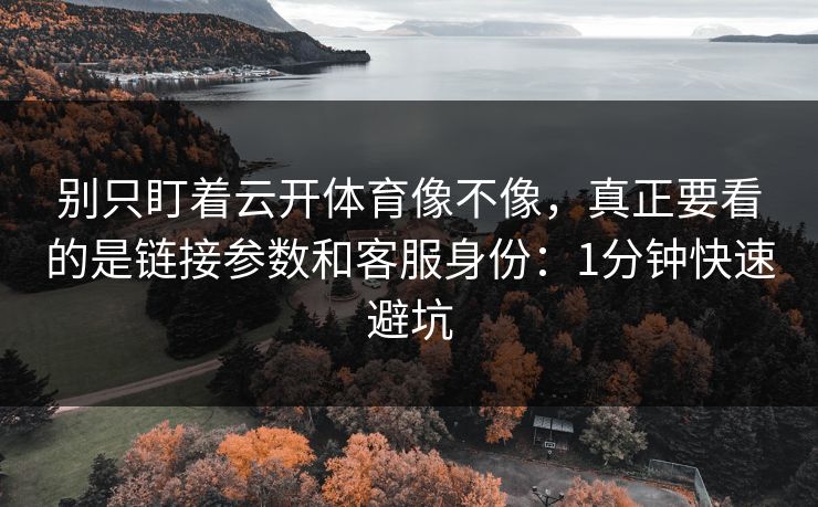 别只盯着云开体育像不像，真正要看的是链接参数和客服身份：1分钟快速避坑