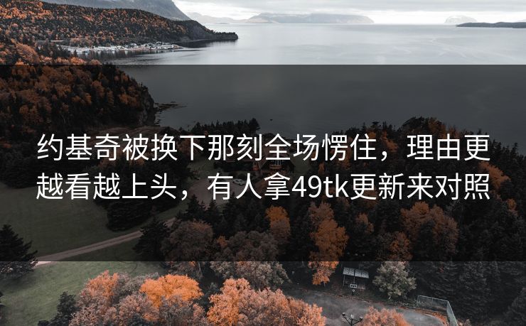 约基奇被换下那刻全场愣住，理由更越看越上头，有人拿49tk更新来对照