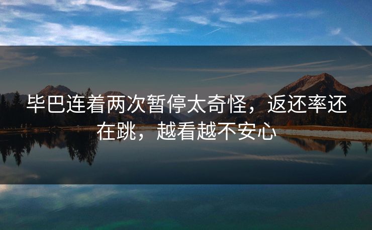毕巴连着两次暂停太奇怪，返还率还在跳，越看越不安心
