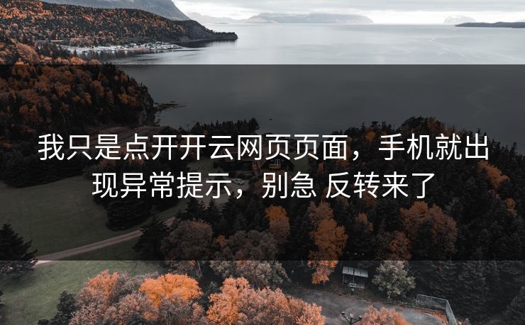 我只是点开开云网页页面，手机就出现异常提示，别急 反转来了