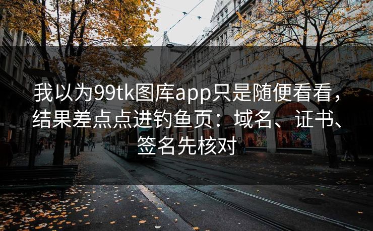 我以为99tk图库app只是随便看看，结果差点点进钓鱼页：域名、证书、签名先核对