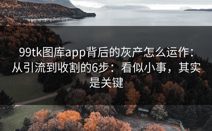 99tk图库app背后的灰产怎么运作:从引流到收割的6步:看似小事,其实是关键